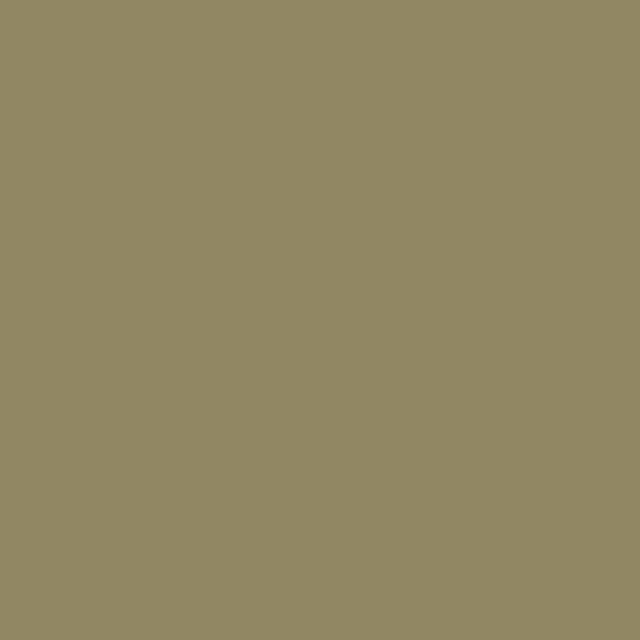 MI-TEINTES 191 OLIVE GREEN 19X25 - In Store Only