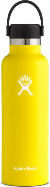 BOTTLE 21OZ STNDARD MOUTH LMN